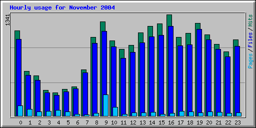 Hourly usage for November 2004